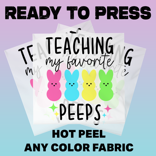 Teaching My Favorite Peeps Colorful Bunny Ready To Press DTF Transfers